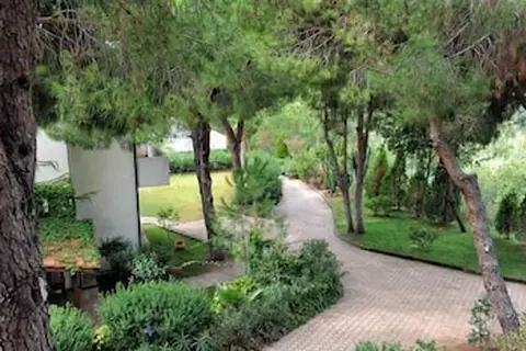 Hotel Villaggio Pineta Petto Bianco in Ricadi, foto 18