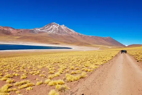 Explore Tropical Yucatán foto 21