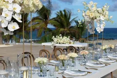 Paradisus Los Cabos - Adults Only in San José del Cabo — foto 8