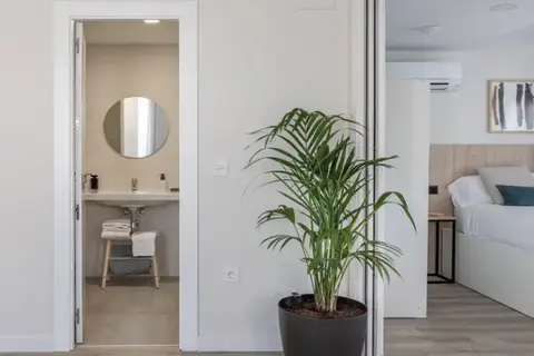 Apartamentos Líbere Granada Catedral in Granada — foto 5