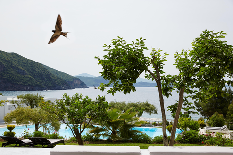 Lichnos Beach Hotel & Suites foto 24