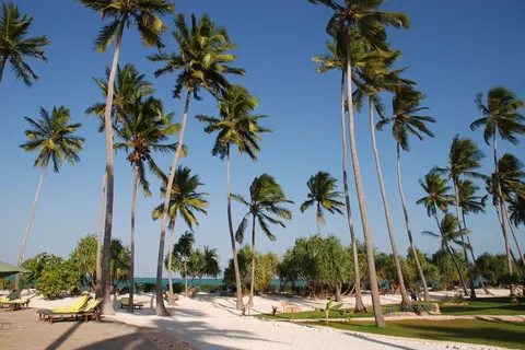 13 daagse safari The Mombasa Rendez Vous foto 1