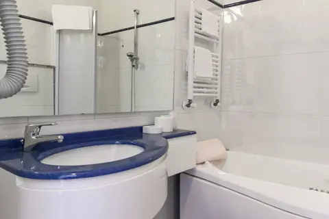 Gabbiano in Rome — foto 3