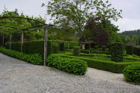 Casa de Canedo in Celorico de Basto, foto 10