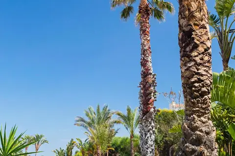 Bimbolla Apartaments in Ciutadella, foto 21