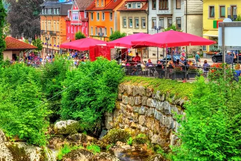 Ontdek het Zwarte Woud in stijl vanuit Triberg foto 9
