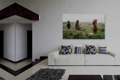 Quinta De Santana in Ribeira Grande — foto 22