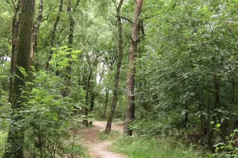 Hotel Udens Duyn foto 19