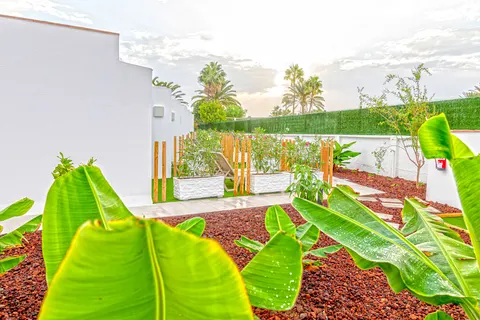 Todoque in Playa del Inglés — foto 27