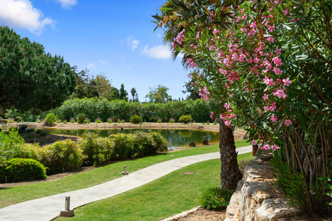 Vale de Milho Village - inclusief huurauto foto 11