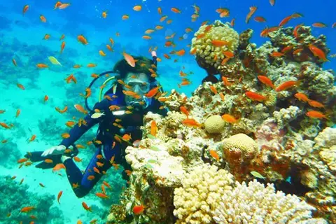 Daniela Hotel & Diving Center Dahab in Dahab, foto 19