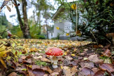 Bungalowpark Het Verscholen Dorp foto 14