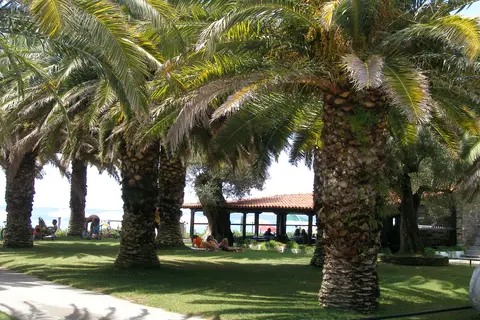 Camping Castello in Δημοτική Ενότητα Σιθωνίας — foto 19
