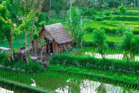 14-daagse rondreis Bali Compleet foto 4