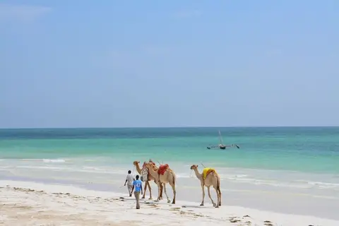 Neptune Paradise Beach Resort & Spa in Kasemeni ward — foto 5