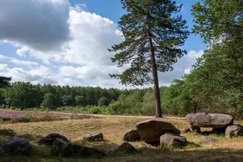 Hotel De Meulenhoek foto 15