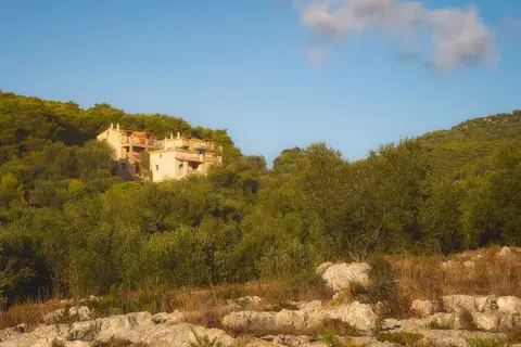Revera Traditional in Laganas Municipal Unit — foto 15