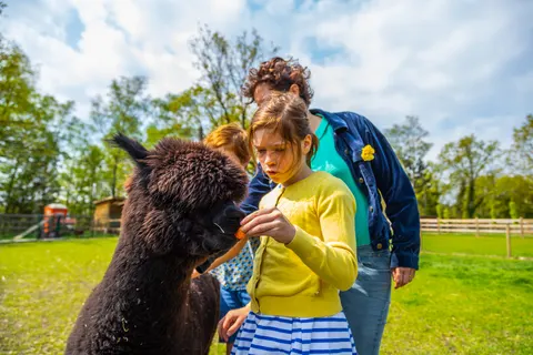 Vakantiepark Hoge Kempen foto 6