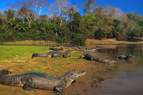 Explore Impressive Brazil foto 2