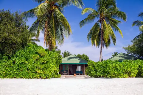 Canareef Resort Maldives in ހިތަދޫ — foto 6