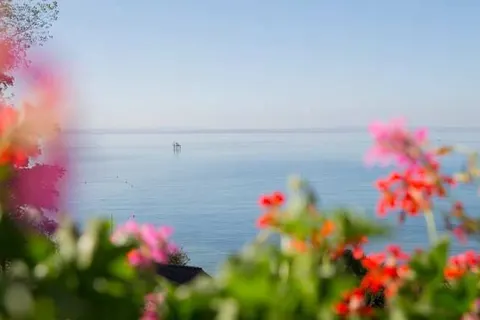 Hotel Seeperle foto 23