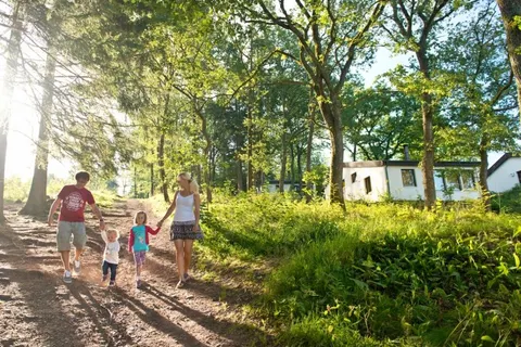 Vakantiepark Wirfttal foto 27