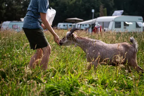 Camping Vestbirk in Østbirk — foto 10