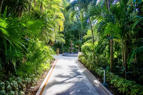 Occidental Cozumel in Cancún — foto 29