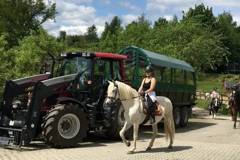 Ferienhotel Stockhausen foto 11