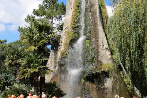 Camping Ostrea foto 6