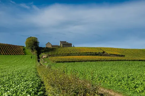 Holland & Belgiëcruise: de zuidelijke Nederlanden foto 11