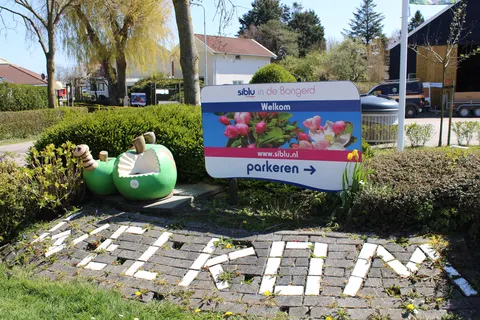 Camping In De Bongerd foto 14