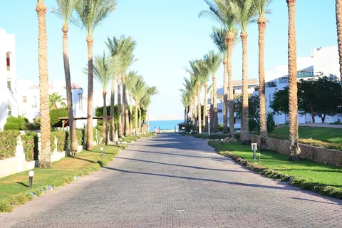 Ivy Cyrene Island Aqua Park Resort in Sharm El Sheikh — foto 26