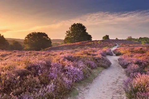 Van der Valk Hotel Apeldoorn - De Cantharel foto 15