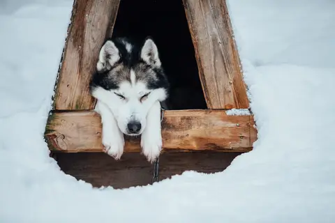 5-daags Winteravontuur Santa Claus in Fins Lapland — foto 11