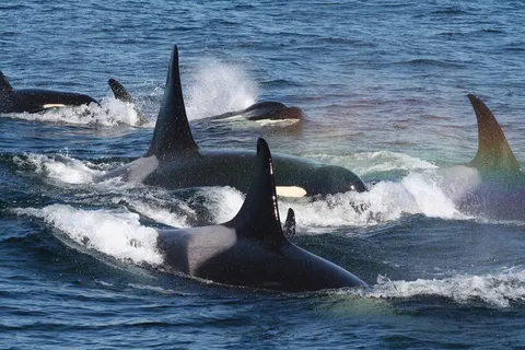 21 daagse fly drive West Canada Compleet foto 3