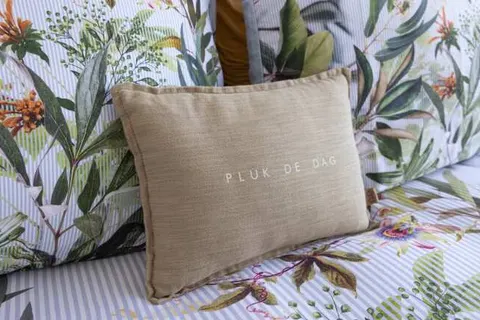 Bed and Breakfast Het Vinkenest foto 7