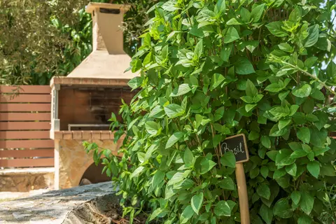Small Village in Zakynthos Municipal Unit — foto 9
