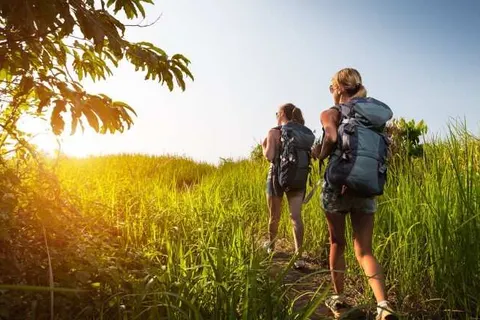 Hotel Palatino foto 18