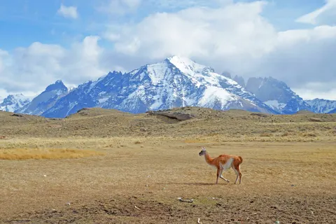 Discover the Carretera Austral in Chile and Argentina foto 4