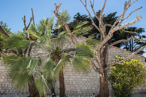 Camping Les Grenettes foto 11