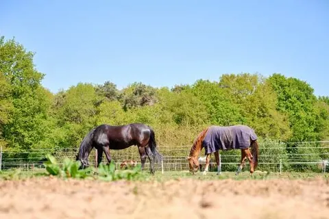 Vakantieoord de Bronzen Emmer foto 15