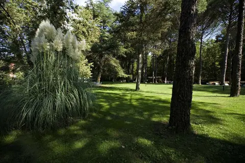 Montebelli Agriturismo Country Hotel in Gavorrano — foto 18
