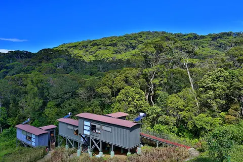 Rainforest Eco Lodge in Rainforest Ecolodge — foto 21