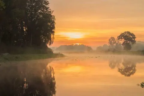 Hotel de Koppelpaarden foto 29