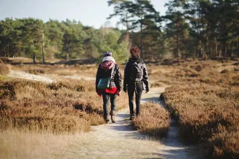 Radisson Blu Hotel Cottbus foto 10