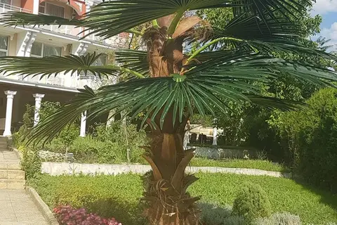 Hotel Elit Palace & Spa in Златни пясъци — foto 18