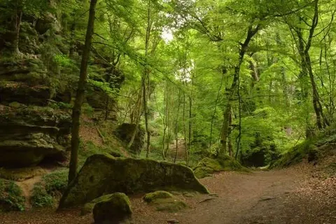 Country Camp Echternacherbruck foto 23