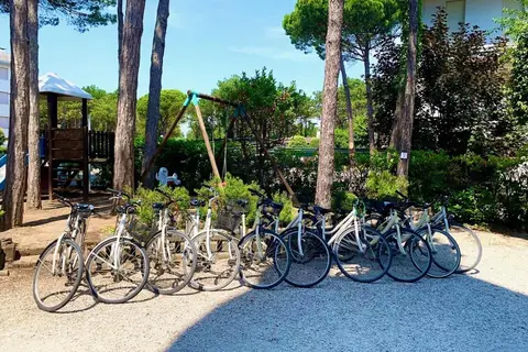Hotel Alemagna Bibione in San Michele al Tagliamento — foto 10