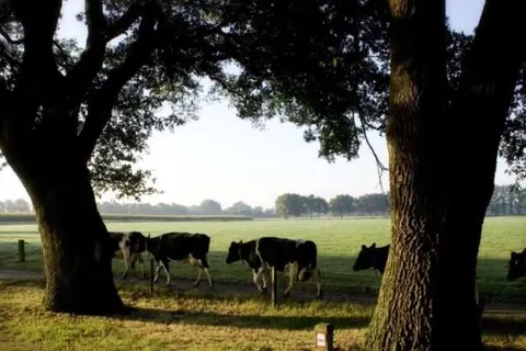 Onthaasten in de Achterhoek foto 9